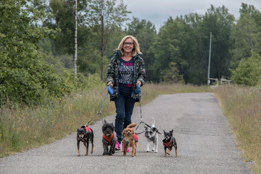 Ein Herz für Streuner: Hundefreundin Margarethe Schreinemakers