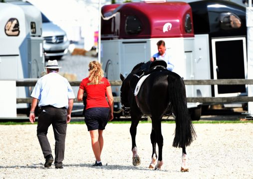 Totilas macht Feierabend