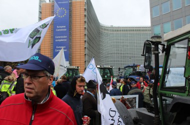 Milchbauerndemo in Brüssel (7.9.)