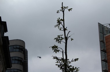 Milchbauerndemo in Brüssel (7.9.)