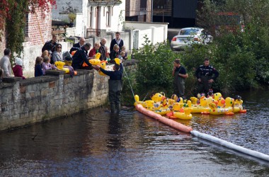 Entenrennen 4