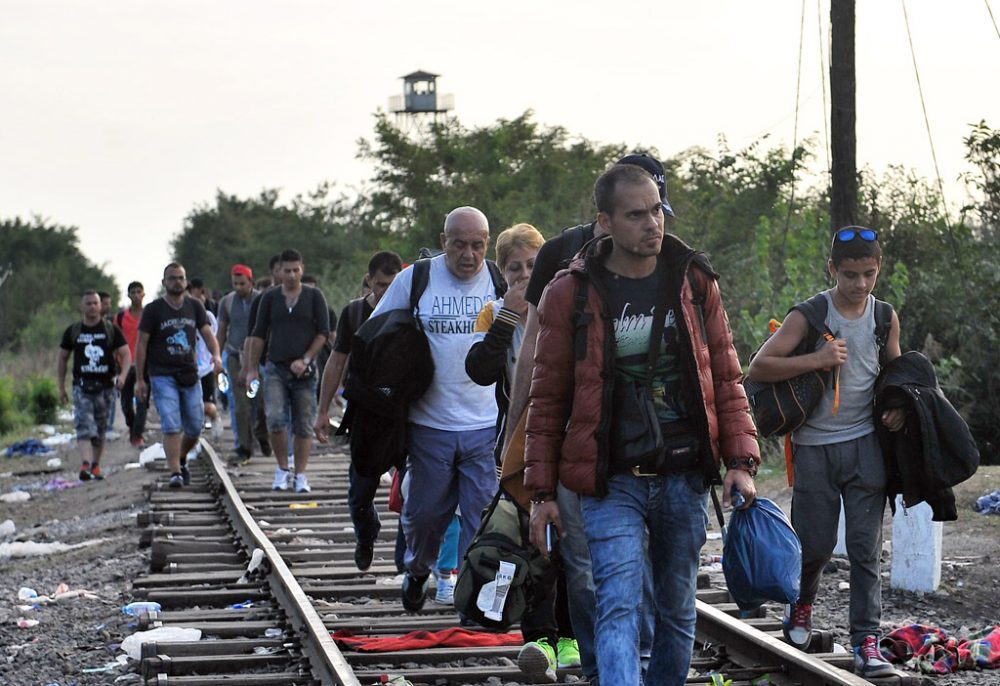 Flüchtlinge an der ungarisch-serbischen Grenze (15.9.)