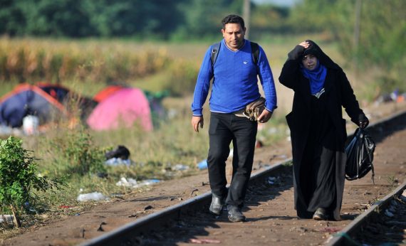 Flüchtlinge an der serbisch-ungarischen Grenze (14.9.)