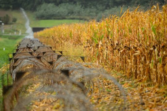 Ungarn baut Grenzzaun zu Slowenien wieder ab