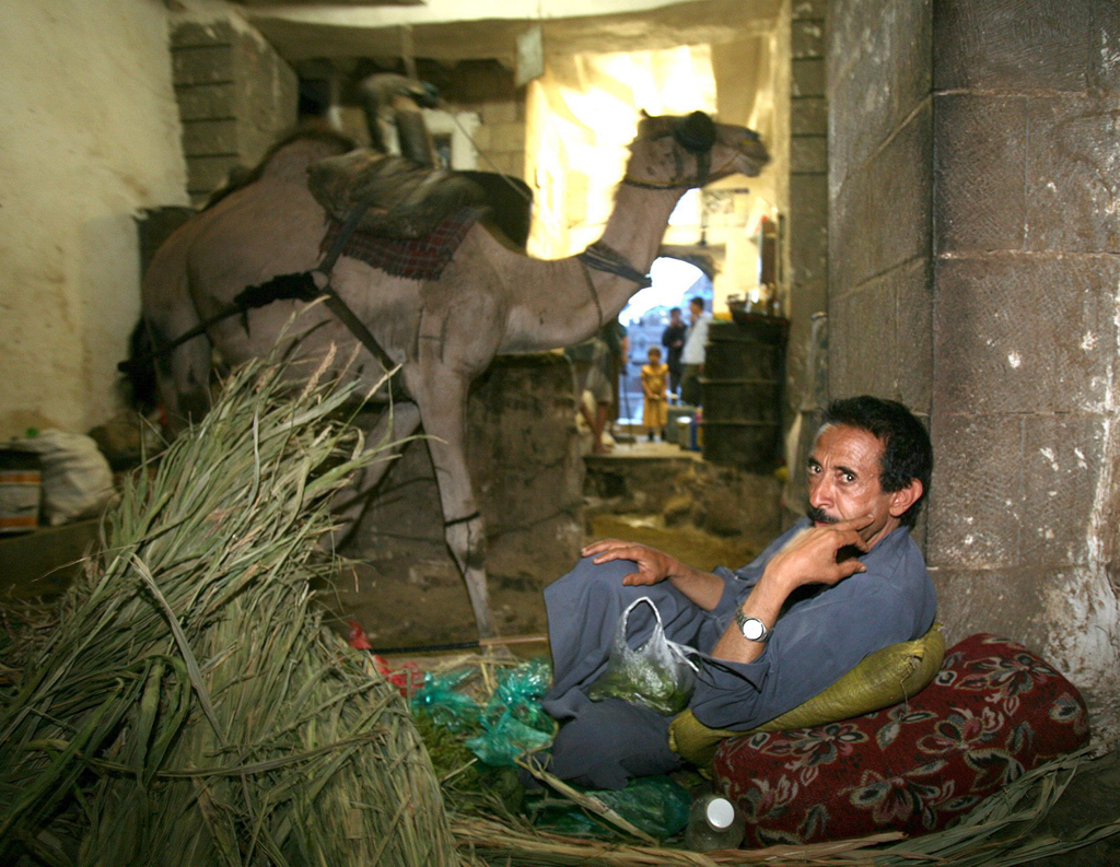 Berauschenden Blätter zum Kauen: Khat