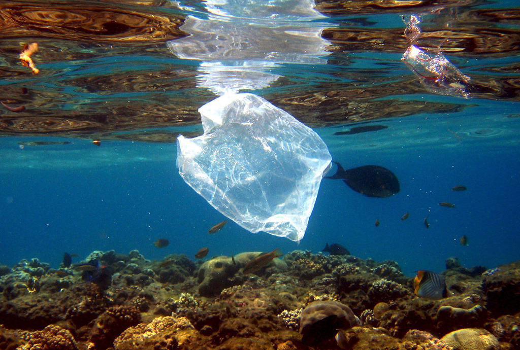 Eine Plastiktüte treibt im Roten Meer - jährlich landen 30 Millionen Tonnen Plastik in den Meeren (Illustrationsbild: Mike Nelson/AFP)