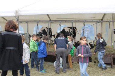 340 Eupener Schüler beim "Bauernhof zum Anfassen"