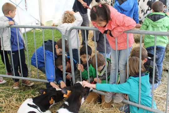 340 Eupener Schüler beim "Bauernhof zum Anfassen"