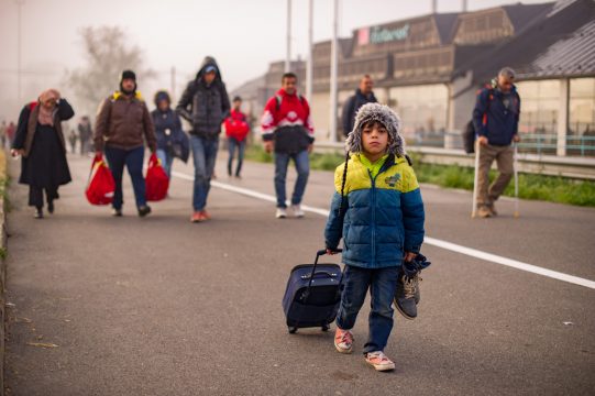 Flüchtlinge auf dem Weg nach Spielfeld kurz vor der slowenisch-österreichischen Grenze (Bild vom 24.10.)
