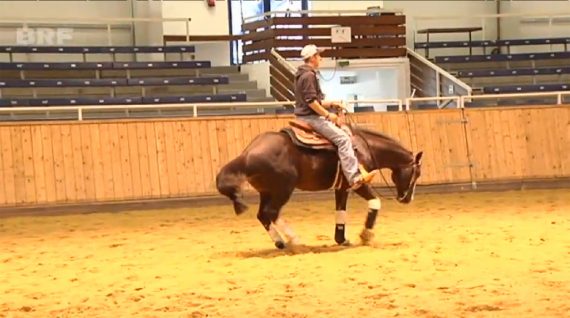 American Quarter Horses: Europas Westernreiter in Aachen