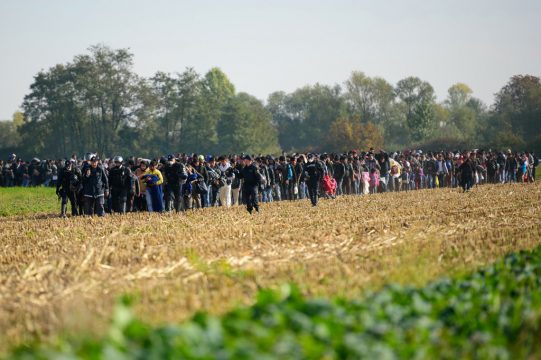Flüchtlingsstrom in der Nähe des slowenischen Grenzdorfs Rigonce (25.10.)