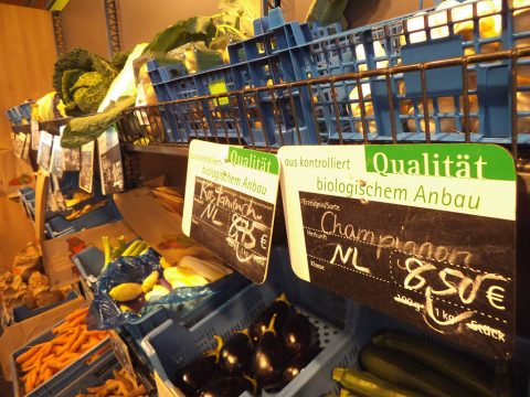 Terren-Hof in St. Vith