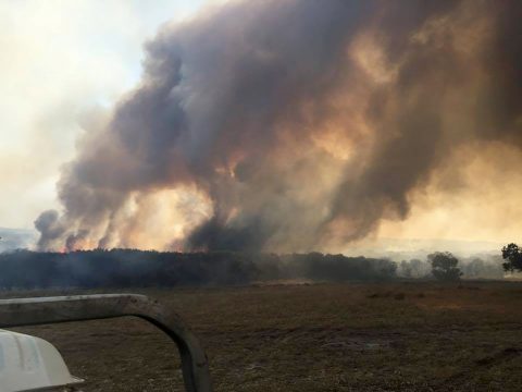 Rauch östlich von Esperance (18.11.)