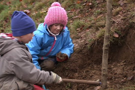 Baumpflanzaktion in Bütgenbach