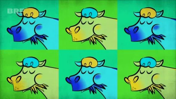 Marguerite happy cow