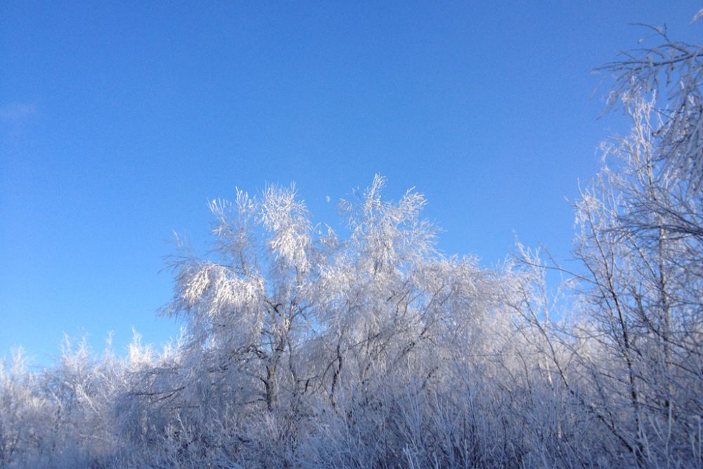 Brackvenn im Schnee