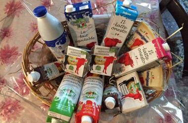 Faire Milch für Papst Franzikus