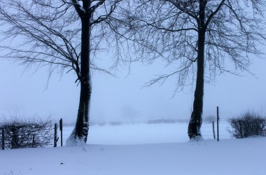 Schnee in Rocherath