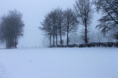 Schnee in Rocherath