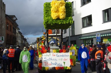 Karnevalszug in St. Vith 2016