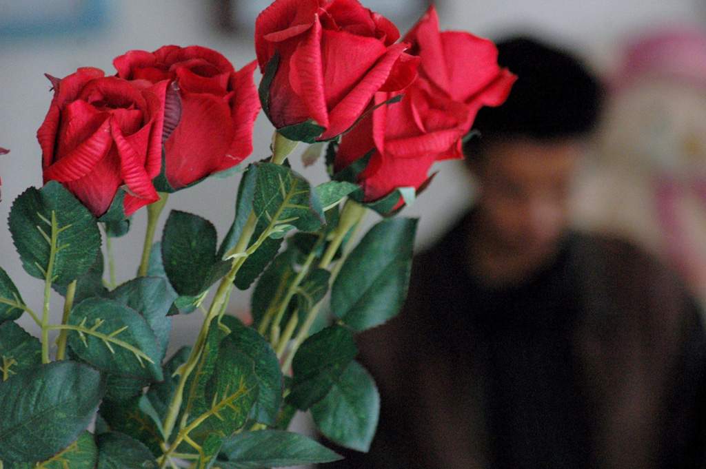 Rote Rosen haben am Valentinstag Hochkonjunktur (Bild: Yahya Arhab/EPA)