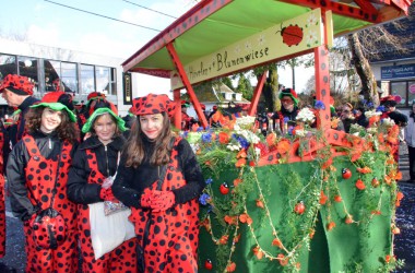 Rosenmontagszug in Bütgenbach