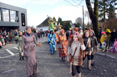 Rosenmontagszug in Bütgenbach