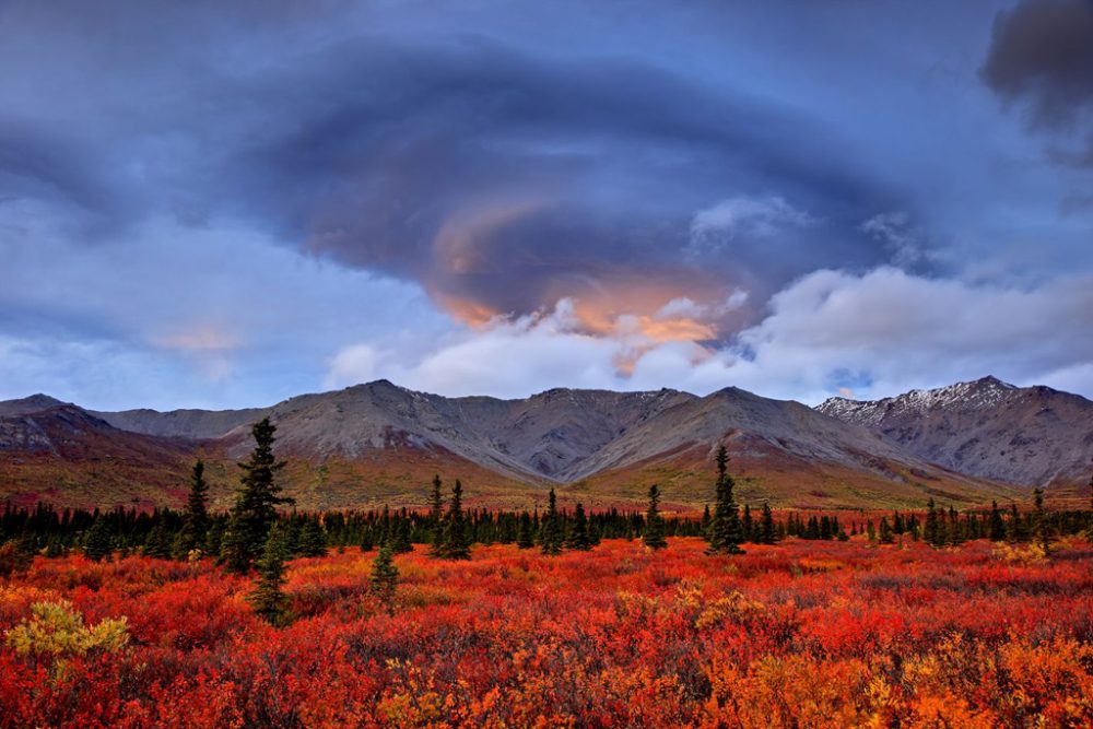 Abenteuer Alaska