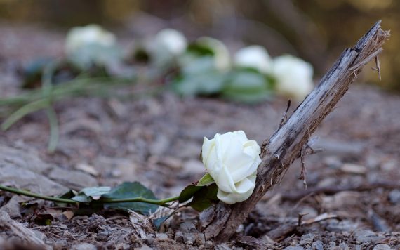 Freunde und Familienangehörige haben weiße Rosen am Unglücksort niedergelegt (24.3.)