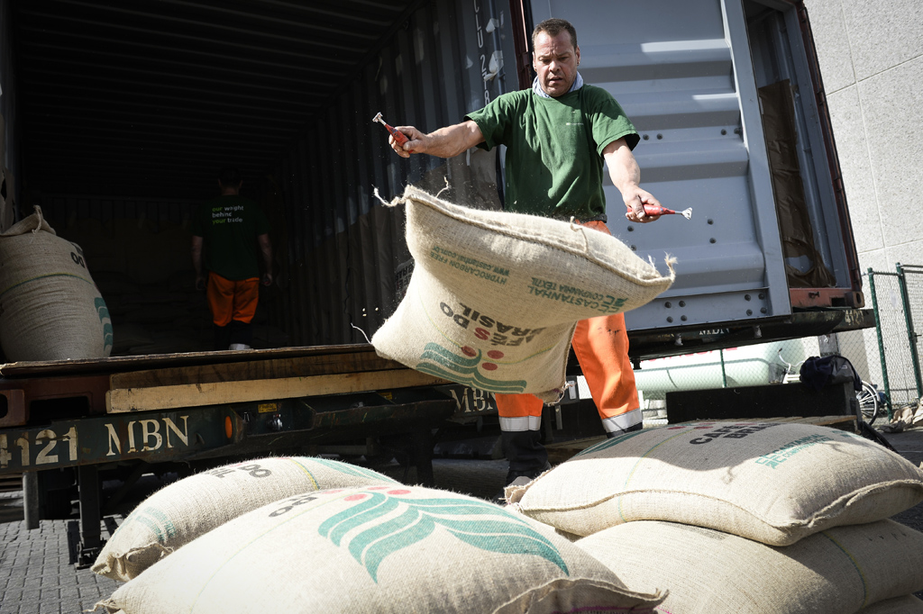 Antwerpener Hafenarbeiter entladen Kaffeesäcke