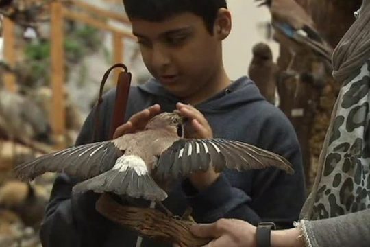 Erlebnismuseum „Lernort Natur“ in Monschau