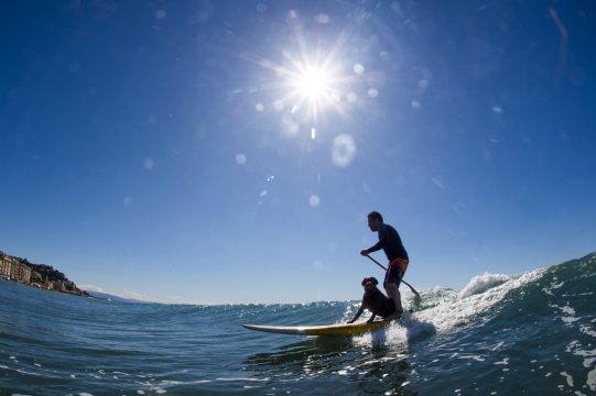 Surfer mit Hund vor der italienischen Küste