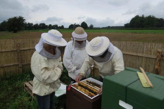 Zu Besuch bei Imkern in der Gemeinde Büllingen