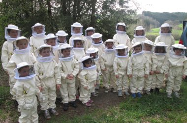 Grundschule Neidingen hat sich ein Schuljahr lang mit den Bienen befasst