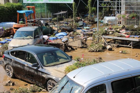 Roma Garten Center am Tag nach der Überschwemmung