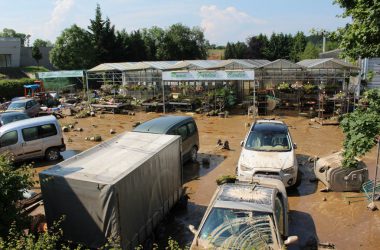 Roma Garten Center am Tag nach der Überschwemmung