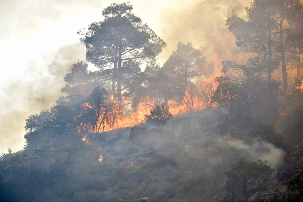 Waldbrand auf Zypern (21.6.2016)