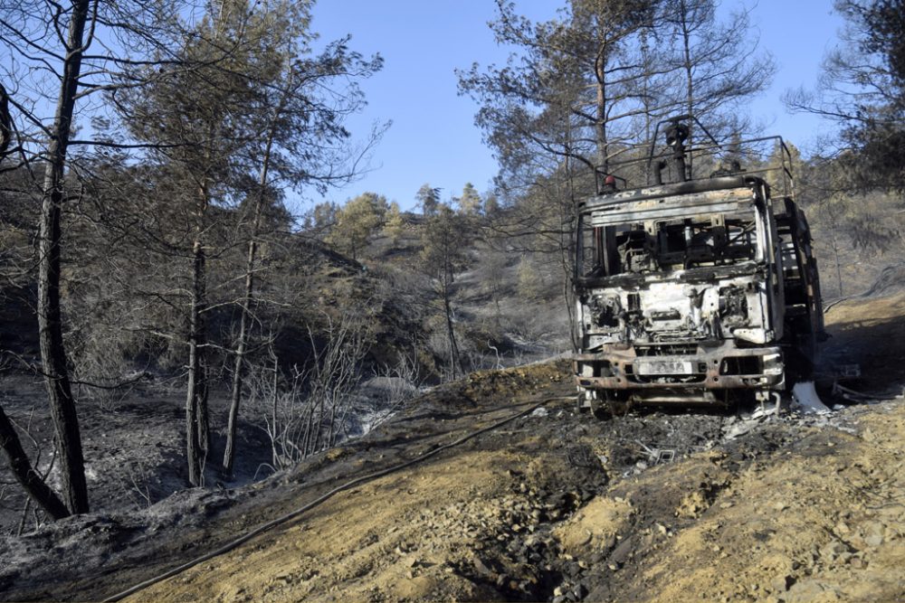 Waldbrand auf Zypern