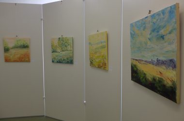 Ausstellung von Hedwig Krings im ZVS-Museum