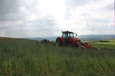 Geiben2