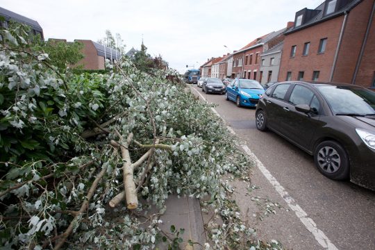 Umgestürzte Bäume in Jodoigne