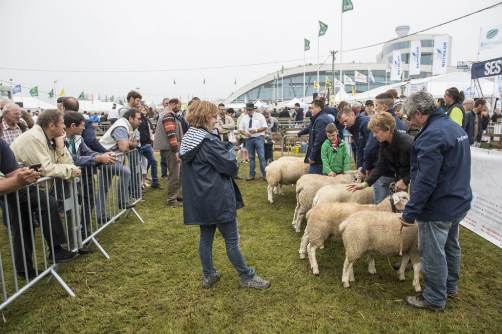 Landwirtschaftsmesse Libramont 2016