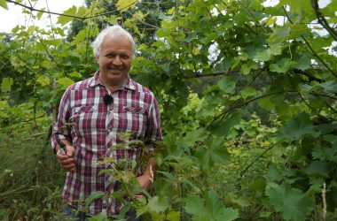 Bart Nyssen in seinem Weinbaugebiet in Dahlem