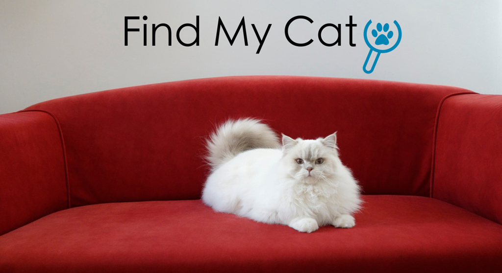 App "FindMyCat"