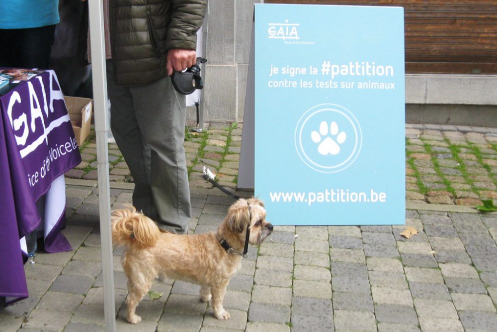 Stand der Tierschutzorganisation Gaia in Eupen