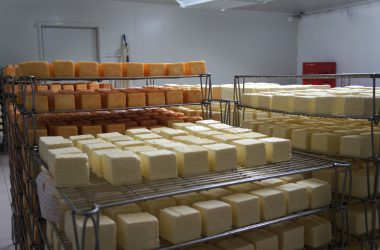 Fromagerie du Vieux Moulin: Hier wird echter "Herver Käse" aus Rohmilch hergestellt