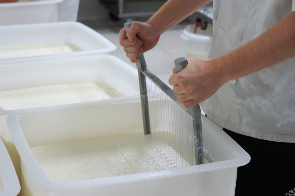 Fromagerie du Vieux Moulin: Hier wird echter "Herver Käse" aus Rohmilch hergestellt