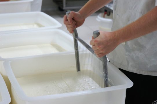 Fromagerie du Vieux Moulin: Hier wird echter "Herver Käse" aus Rohmilch hergestellt