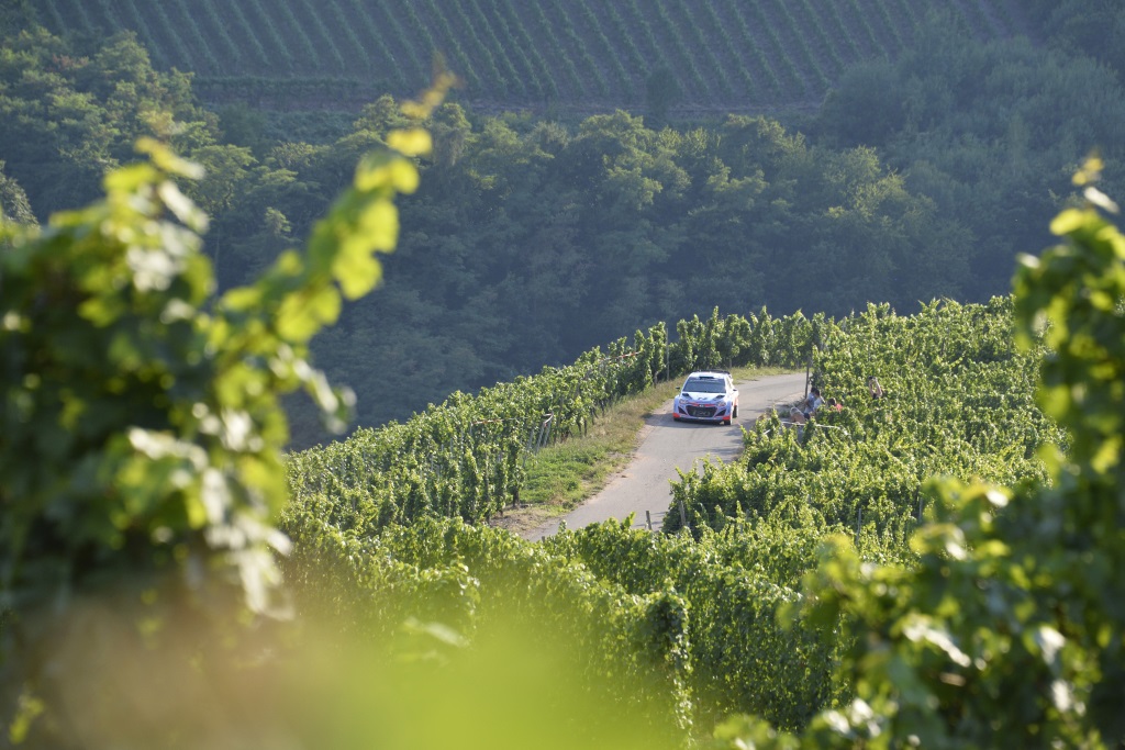 Hyundai i20 WRC bei der Rallye Deutschland 2015