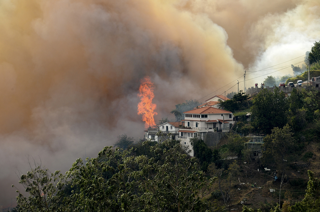 Waldbrand in Curral dos Romeiros, Funchal